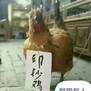 战斗机的战斗机