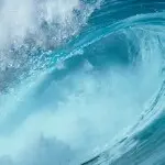 柠檬～茶