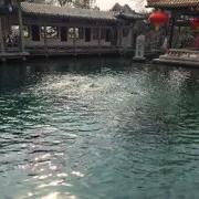 手帅哥哥（拜拜各位）
