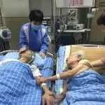 枫乐军团