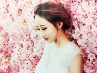 北家军——强子的主播照片