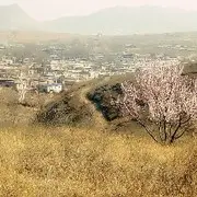 👑小龙女啊