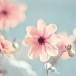 、烟花陌港