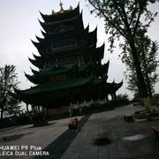 我来了1235