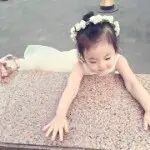 一豪，琪婷
