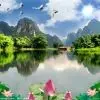 沈阳~康辰{^_^}