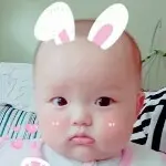 鸽子dc
