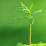 ☞消失的星空☜