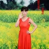 叶燕红美丽花仙子