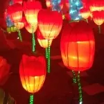～可那溜达～
