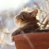 熟睡的我