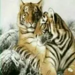 梦…见…哥