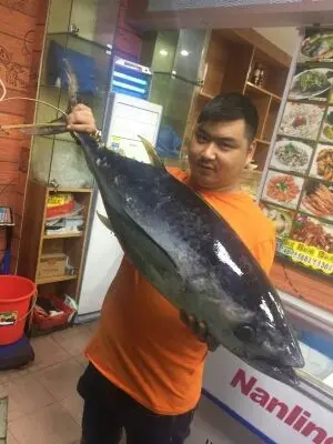 菩提下未来，的主播照片