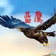 天空上的蓝鹰128
