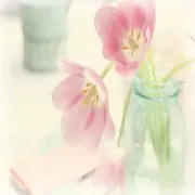 心💕已死