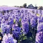❁開訫