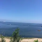 终点站d