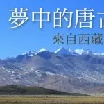 少爷的心♥你最懂