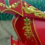 躺在棺材里看主播