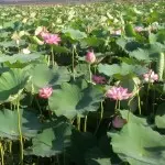 ℡乄音乐⤵欣赏ゞ