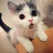 看透不说透s