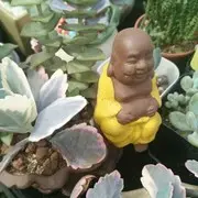 李倩楠r