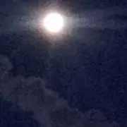 一梀光