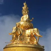 随缘而安，心若止水