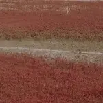 请给我个理由❗