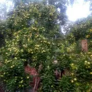 一路顺风rj3