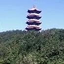 真诚v9