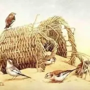 独行侠gh