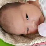 毒吻小蜜蜂