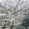 乀平平淡淡x