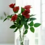 见你就想骂