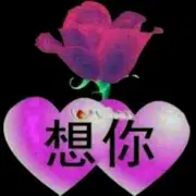 铁岭活宝家老三