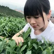 ♥森♥