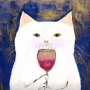 meow481