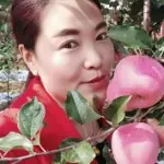 哭乐人生
