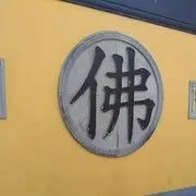 我的心飞99