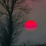.青争青争口斤哥欠