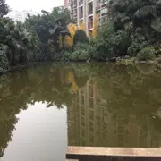 随心所欲，。！