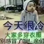 双双炖主播