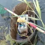 刷红包生男爵