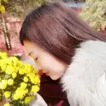 锁心过客