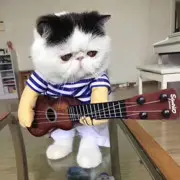 林北颠趴