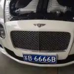 鲁西苏南