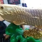 益达666