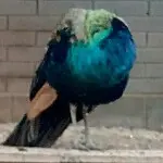 看一看♥