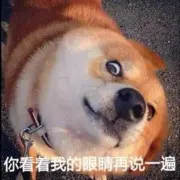 暀貰咘鶗